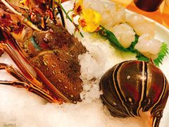 -王鼎精致料理铁板烧(世博源店)