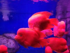 -泉州海丝野生动物世界