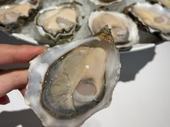 生蚝-Oyster Talks 四度蚝法餐厅