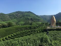 -帐篷客·溪龙茶谷度假酒店