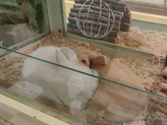 -龙猫仔乐园(惠福东路店)