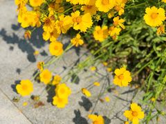 -白塘生态植物园