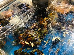 -盒马鲜生(莱蒙都会店)