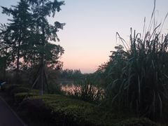 -白鹭湾湿地公园