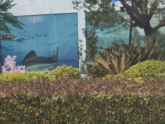 -芜湖新华联大白鲸海洋公园