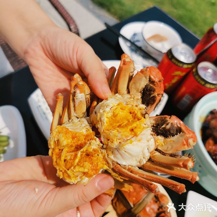 初秋去阳澄湖边的晚芳亭品蟹🦀️赏湖景