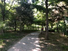 -玲珑塔公园