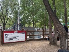 -长白岛森林公园