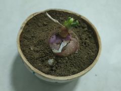 -老地方农家菜(昌黎一店)