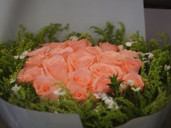 -平吉花卉市场