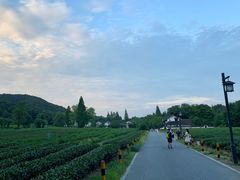 -九里云松·天香餐厅