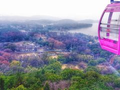 -东湖磨山景区