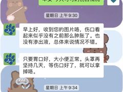 -佩兹宠物医院肿瘤专科·眼科·牙科(黄浦店)