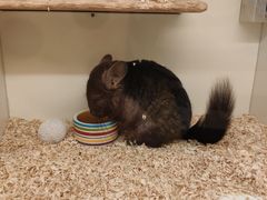 -龙猫仔乐园(惠福东路店)