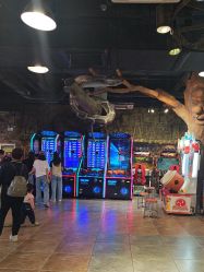 -卡通尼·Safari非洲探索乐园·生日会(金桥国际商业广场店)