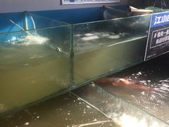 -大鹅岛灶台鱼·铁锅炖(水库路店)
