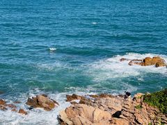 -小麦岛公园