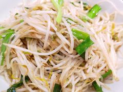 韭菜豆芽-壹盏灯(惠农店)