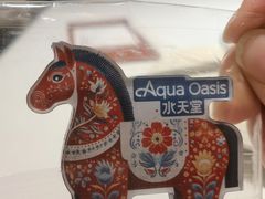 -Aqua Oasis 水天堂(石路天虹店)