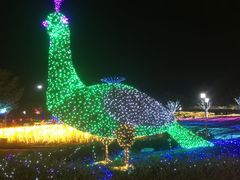 -云幽谷旅游区