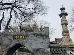 -大槐树寻根祭祖园