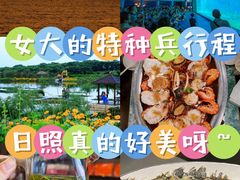 -渡海小渔村.老辈日照菜