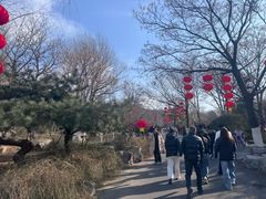 -千佛山风景名胜区