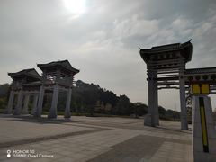 -王借岗森林公园