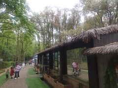 -WeLope紫金山探险公园