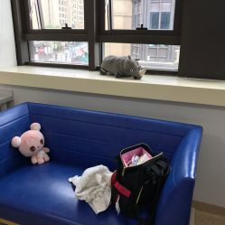 点击看大图 -睿宝儿科·眼科·口腔(杨浦新江湾城店)
