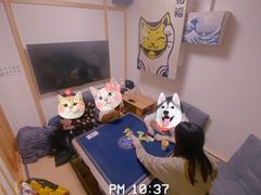 -ELEVEN桌游剧本杀轰趴馆(三里屯店)