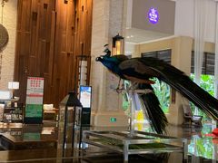 -西双版纳融创皇冠假日度假酒店