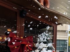 -ZHAO赵·牛扒坊(万象城店)