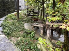 -都江堰中华大熊猫苑