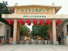 -广东茂名森林公园