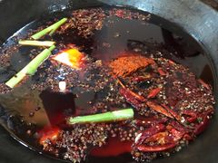-星鸿社重庆老火锅(燃灯寺分店)