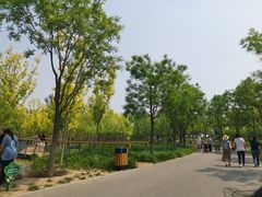 -东郊湿地公园