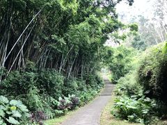 -火炉山森林公园