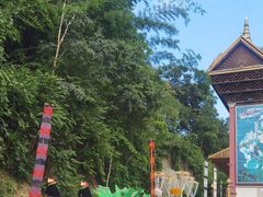 -西双版纳原始森林公园