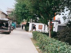 -大队长大灶鹅