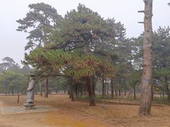 -清西陵