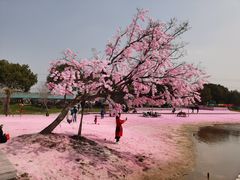 -上海杨姆庄园