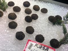-黑潮市场