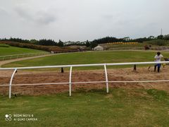 -迪茵湖田家舍生态农场
