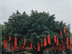 -深圳湾公园(南山区)