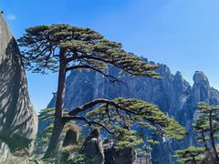 -黄山风景区
