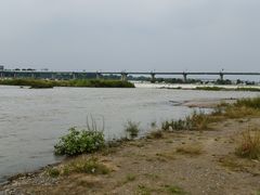 -绿堤公园