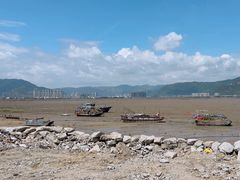 -北岐滩涂