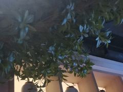 -野妹火锅(布吉店)