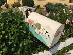-黄色小屋